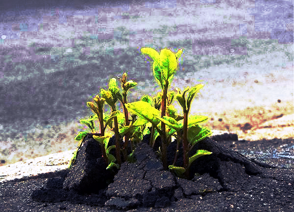 breaking_through_hope