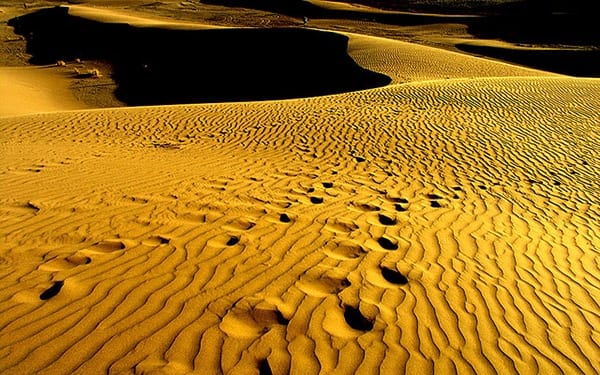desert_footsteps